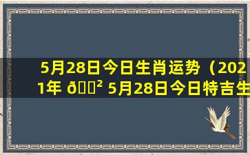 5月28日今日生肖运势（2021年 🌲 5月28日今日特吉生肖 💮 小运播报）